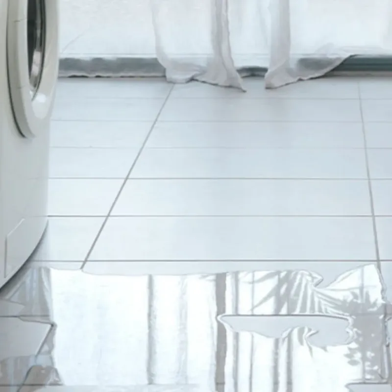 Appliance Leak Cleanup in Byron Center, MI
