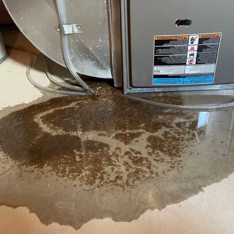 Pipe Burst and Leak Restoration in Byron Center, MI