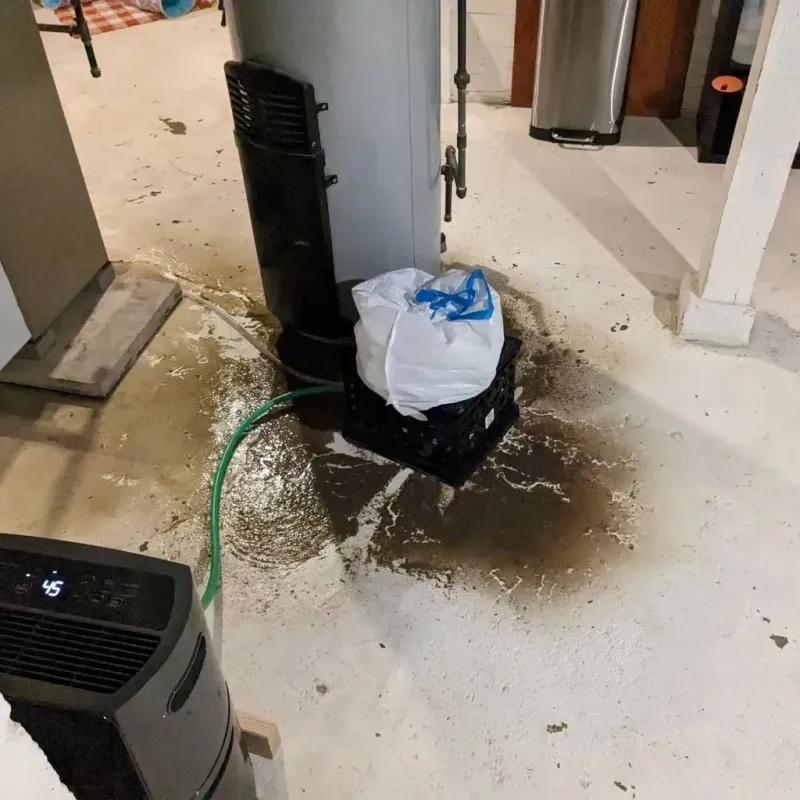 Sewage Backup Cleanup Service in Byron Center, MI